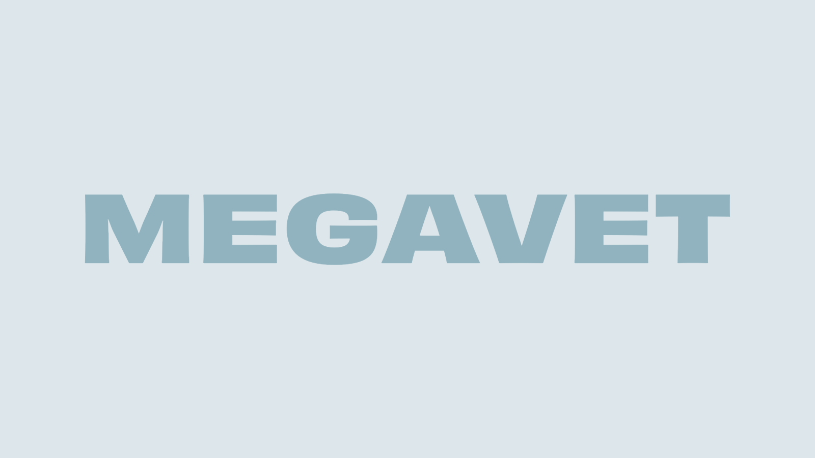 Megavet Vintage Stores